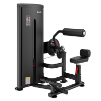 Тренажер Smith DA009 Пресс/Разгибание спины