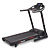 Беговая дорожка Titanium Masters Physiotech TDM