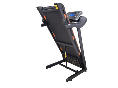 Беговая дорожка электрическая Royal Fitness RF-6