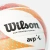 Мяч волейбольный Wilson Avp Style, разм. 5 Мяч волейбольный Wilson Avp Style, разм. 5